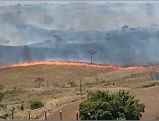 Incêndio destrói vegetação às margens da BR-101 próximo a Santo Antônio de Jesus