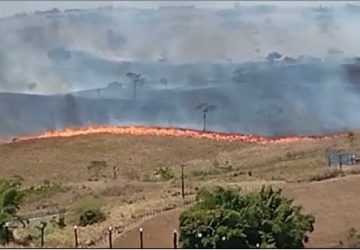 Incêndio destrói vegetação às margens da BR-101 próximo a Santo Antônio de Jesus